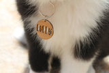 Personalised Wood Dog Tag - Little Birdy Finds