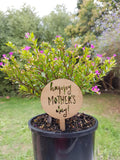 Happy Mothers Day plant marker - Little Birdy Finds