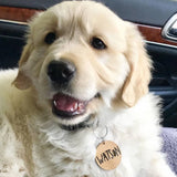 Personalised Wood Dog Tag - Little Birdy Finds