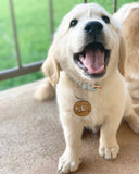 Personalised Wood Dog Tag - Little Birdy Finds